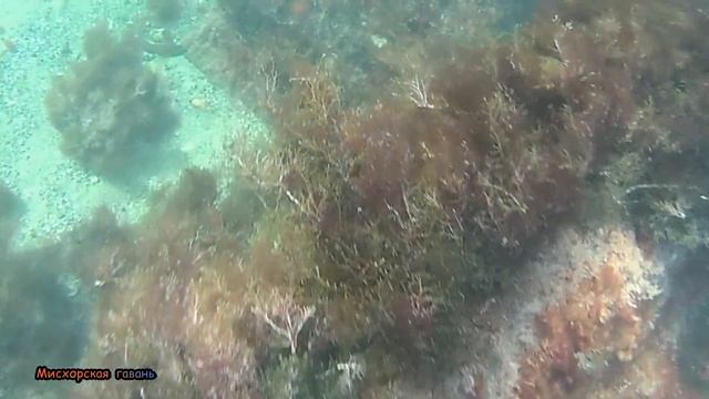 Симеиз пляж Нарышкинские камни "Башмак"  подводные гроты, подводное плавание в Крыму, Черное море