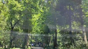 РИЦА. ДАЧА СТАЛИНА. СТЕКЛЯННЫЙ МОСТ В АБХАЗИИ. АБХАЗИЯ АВГУСТ 2023. Женское Такси в Абхазии