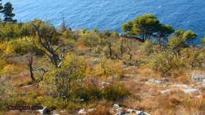 КРЫМ ПАРКОВОЕ, РЕЗИДЕНЦИЯ КРЫМСКИЙ БРИЗ (эко-отель), ДАЧА МВД (резиденция министра)ВИДЫ ГОРЫ МОРЕ