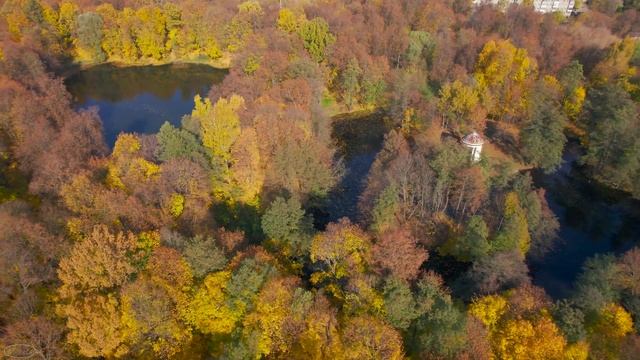 Воронцовский парк в селе Быково