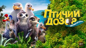 Птичий дозор - Manou the Swift