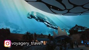 НОВЫЙ ОКЕАНАРИУМ В АБУ-ДАБИ SeaWorld. Где выгодно купить билеты?