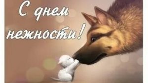 С днём нежности!
