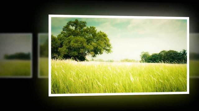 С Днем Республики Башкортостан!