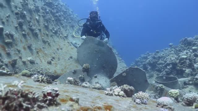 Дайвинг в Акабе (Иордания) / Diving in Aqaba: Cedar Pride Wreck