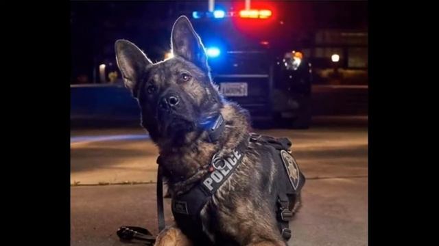 Music de police смотреть онлайн