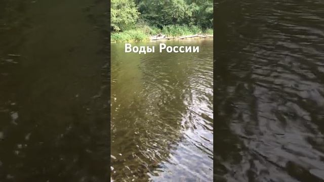 Затон реки Оскол. Красота! Слава Богу за всё!..☀️