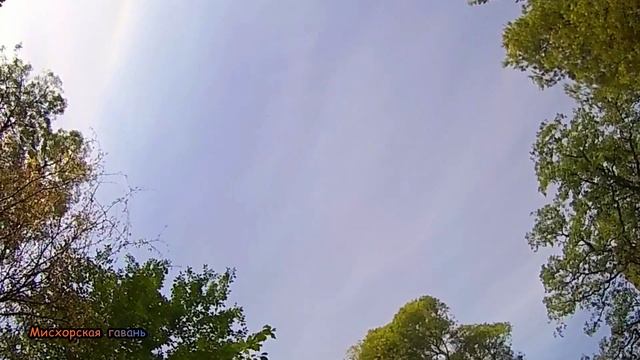 КОРЕИЗ МИСХОР ПАРК ПЛЯЖ РУСАЛКА МИСХОРСКАЯ ГАВАНЬ ОТДЫХ, ДЕТСКИЕ РАЗВЛЕЧЕНИЯ БОЛЬШАЯ ЯЛТА, КРЫМ