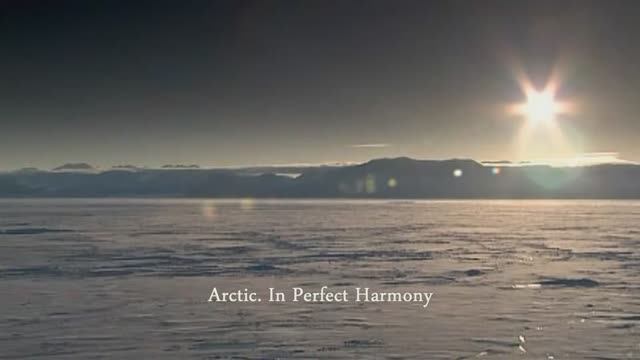 Arctic. In Perfect Harmony