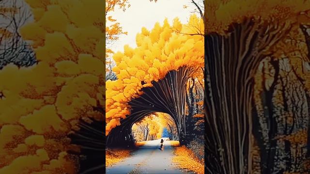 Красота природы.