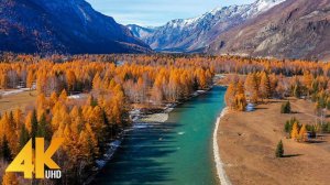 Best 4K Drone Footage of Autumn in Siberia - Ambient Drone Film about Beauty of Fall Foliage Season