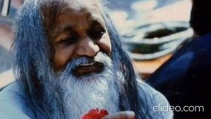 Трансцендирую ли я. Махариши отвечает на вопросы об опытах в ТМ