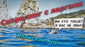 Снорклинг с ларгами в Японском море