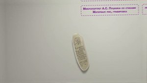 Интерактивная выставка "Микромиры"