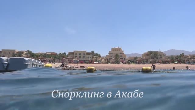 Снорклинг в Акабе / Snorkeling in Aqaba