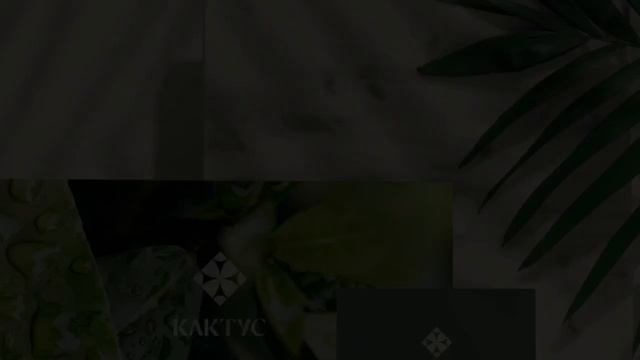 Портфолио