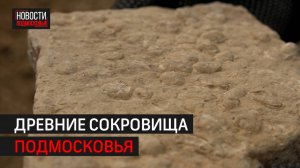 В нескольких километрах от Балашихи найдены фрагменты морского дна