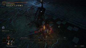 Elden Ring Тень кладбища (Звёздные пустоши) (78)