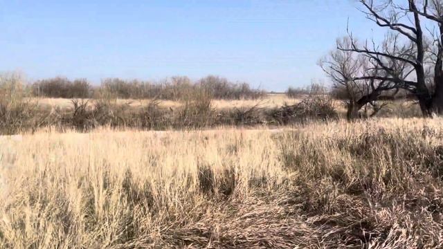 1 мая 2024 г. смотреть онлайн