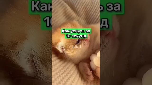Что будет, если перестать есть сахар! Ты будешь в шоке