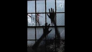 Пугающие мистические истории. Выпуск #36 [Силуэт за окном]