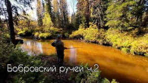 В ЭТОМ РУЧЬЕ ПОЛНО РЫБЫ #чебак #мохтик #ручей #рыбалка #сибирь