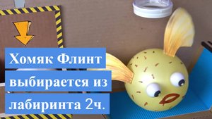 Хомяк Флинт выбирается из лабиринта 2ч.