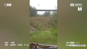 17 июня 1978 года