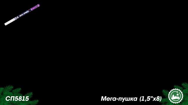 СП5815 смотреть онлайн