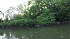 Doviello HICC 50, Soloking, Acura, Amazon bfs reel review