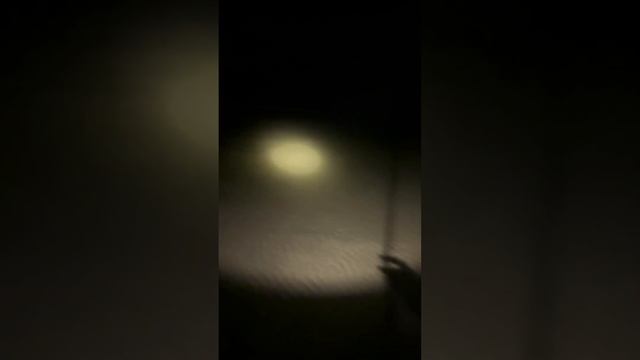 24 сентября 2024 г. смотреть онлайн