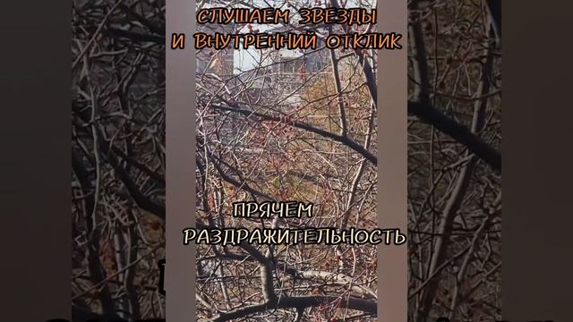 17 октября АСТРОЛОГИЯ ДНЯ,Гадаю онлайн,магия в помощь.#17октября #астрологиядня #гадаюонлайн #магия