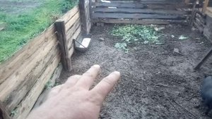 Дела житейские.