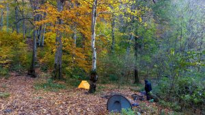 Осенний Индюк и Индюшка