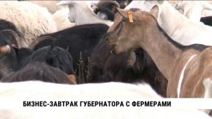 Бизнес-завтрак губернатора с фермерами Хабаровского края