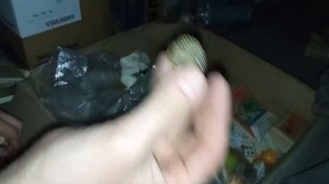 420 18.08.2023 Чердак Завершение Раскопок Прошлого