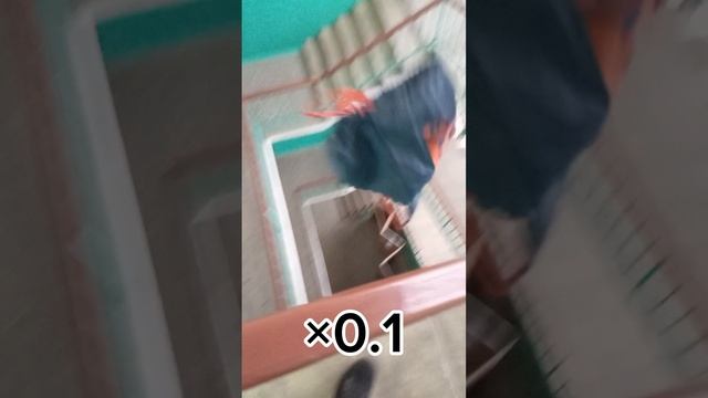 Полетела сменка
