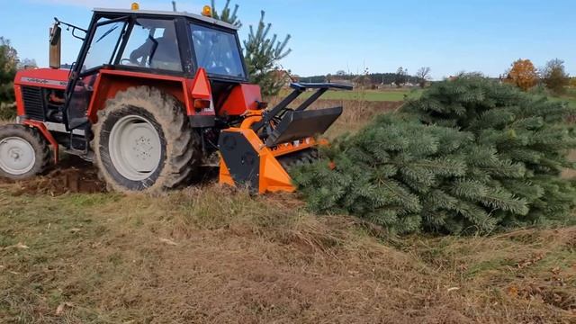 Kosiarka Orkan KL 180 i Ursus 902 mulczowanie sosny смотреть онлайн