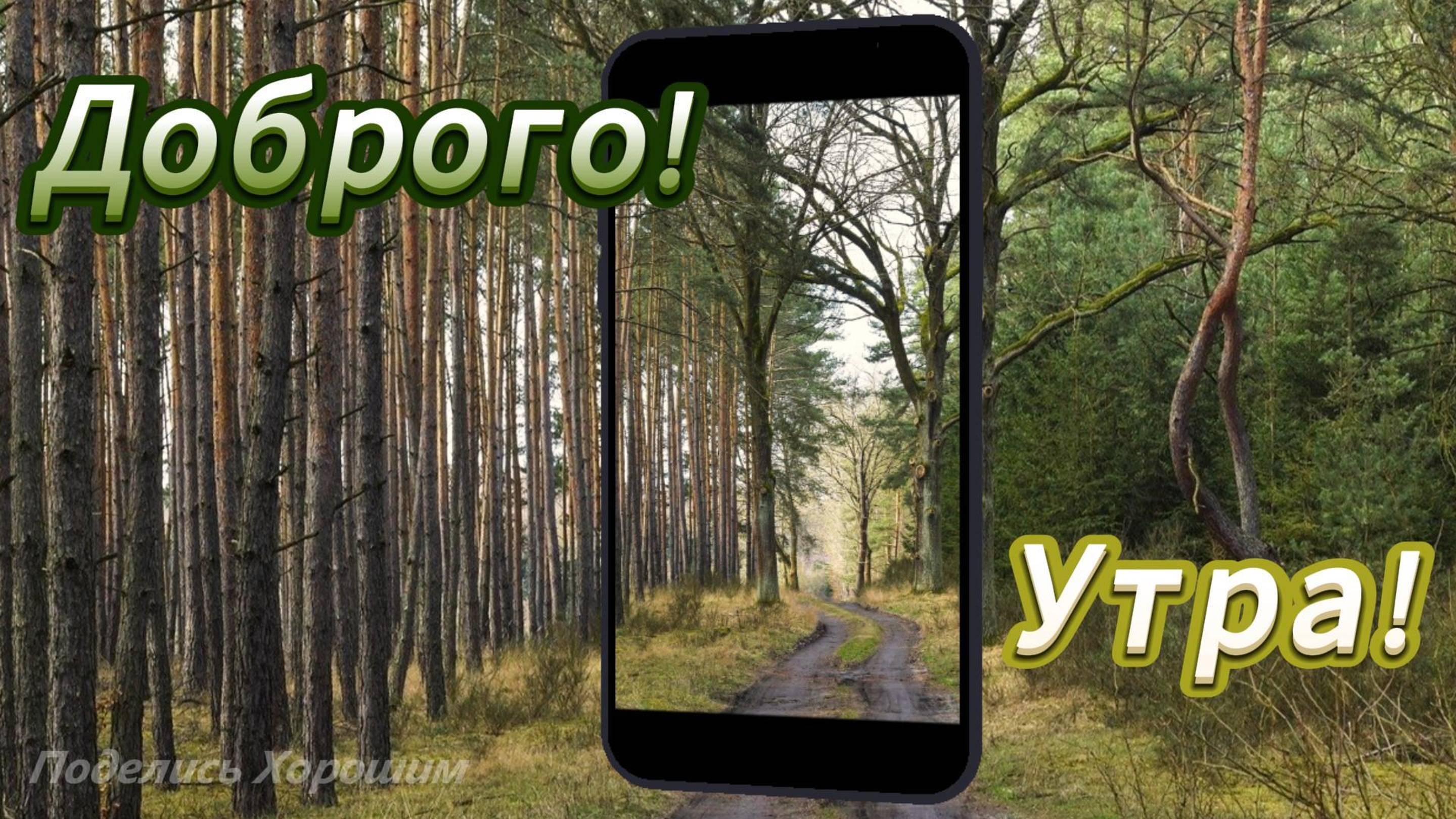 Утра! Доброго! Настроения! Отличного!