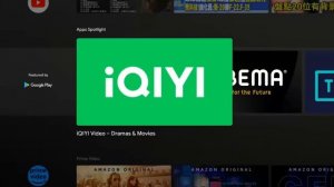 GD1 Dcolor Google Certified Mini TV Stick