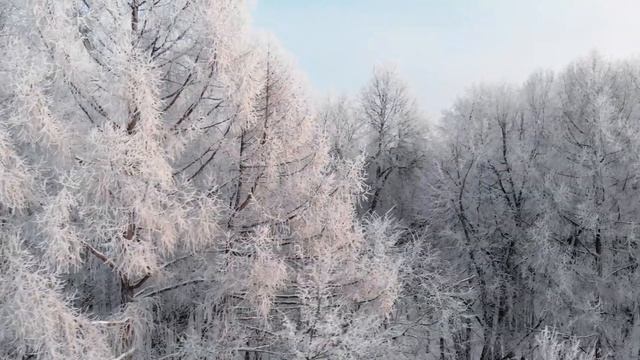 Зимний парк — Воронцовская усадьба | Mavic Air смотреть онлайн