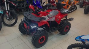 Квадроцикл Wels Trail 125 Pro - Обзор