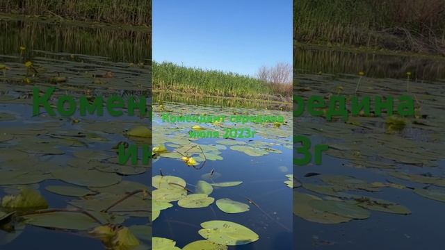 2 августа 2023 г. смотреть онлайн