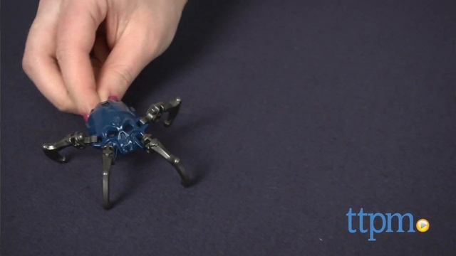 LEGO Bionicle Protector of Stone from LEGO смотреть онлайн