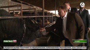 Глава Ингушетии посетил ферму по разведению фазанов.