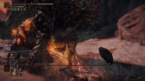 Elden Ring Гнилостное воплощение (Звёздные пустоши) (90)