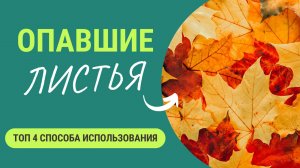 Опавшая листва - дар для огородников! Как эффективно применить опавшую листву🍂