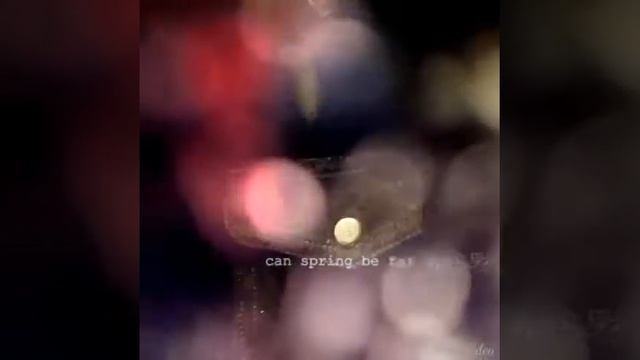 Bill Blass Men's XL Leather Jacket on my Ebay смотреть онлайн