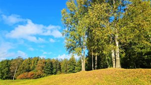 【4K】🍂Золотая осень в Сосновке・🍁Пионерская・Прогулка по Питеру・Walking tour・Russia・Алексей Михайлов