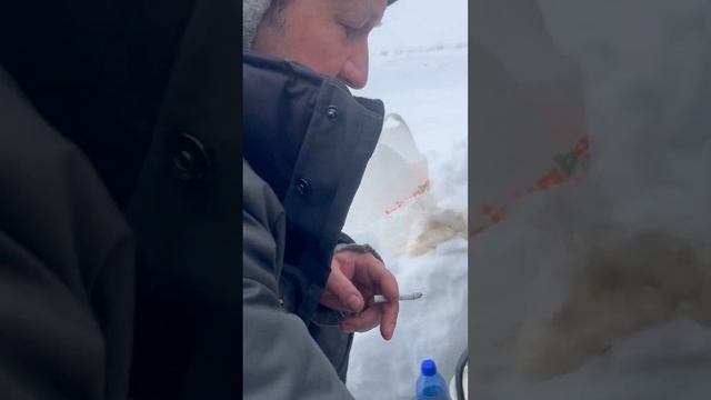 4 марта 2024 г. смотреть онлайн